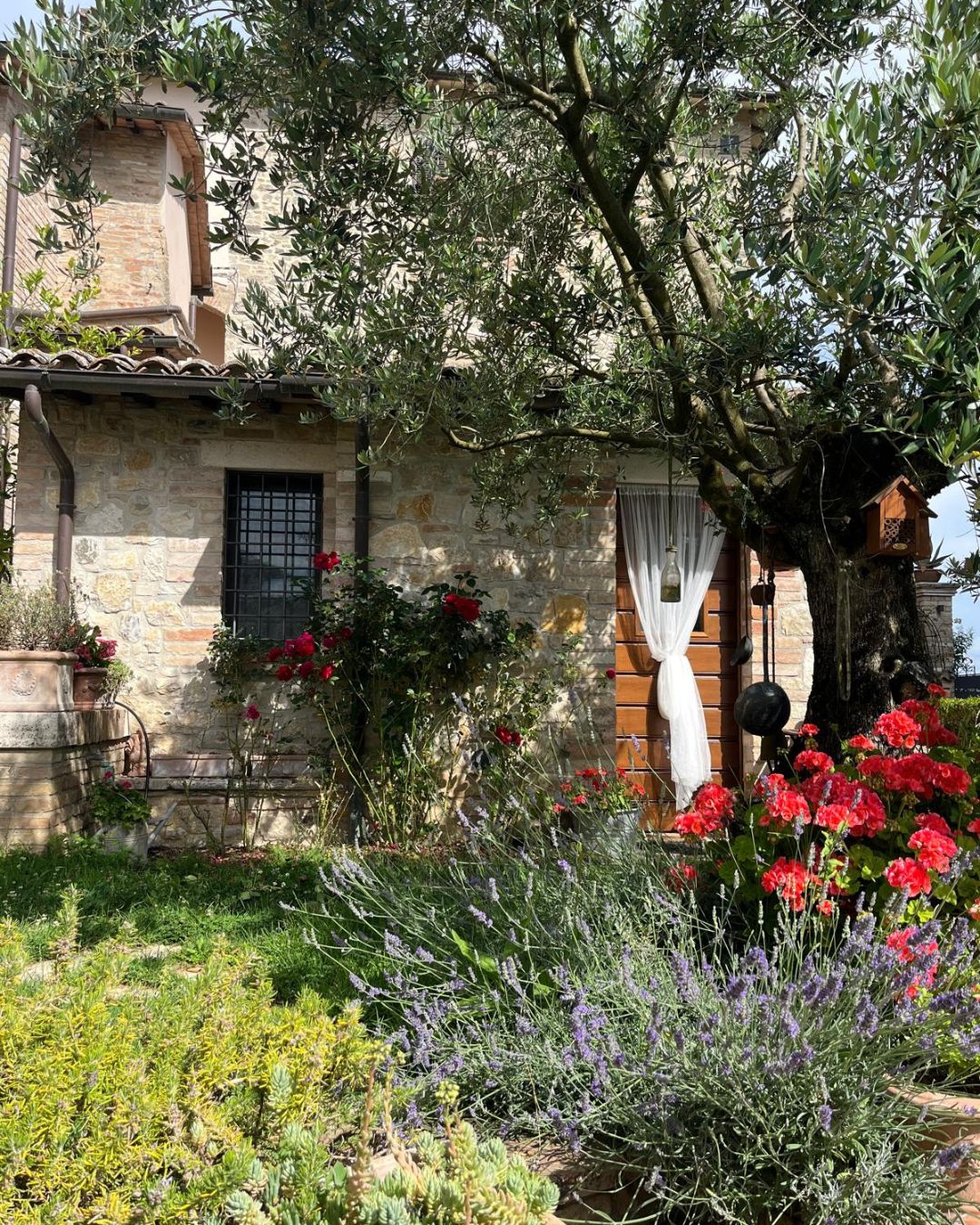 Corte comune con giardino e piscina di BorgoCuore